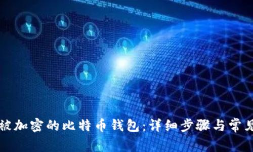 如何解锁被加密的比特币钱包：详细步骤与常见问题解析
