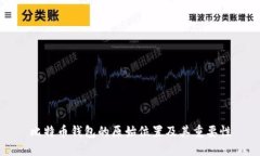 比特币钱包的原始位置及