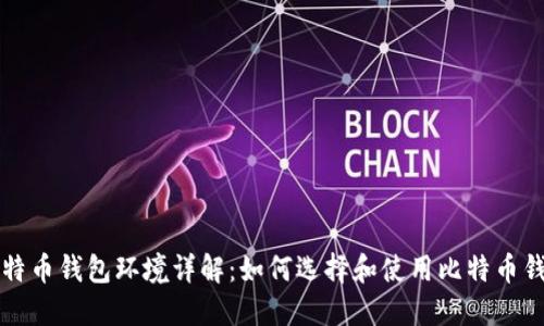 比特币钱包环境详解：如何选择和使用比特币钱包