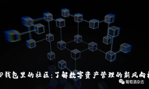 TP钱包里的社区：了解数字资产管理的新风向标