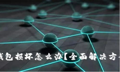 比特币钱包损坏怎么办？全面解决方案与指导
