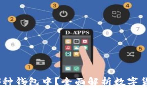 
USDT存在哪种钱包中？全面解析数字货币钱包类型