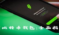 如何安全下载比特币钱包