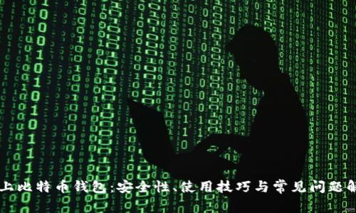 网上比特币钱包：安全性、使用技巧与常见问题解析