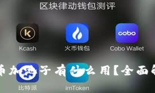 TP钱包的币加池子有什么用？全面解析与应用