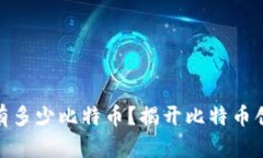 : 中本聪的钱包有多少比特