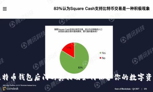 比特币钱包后门的真相及如何保护你的数字资产