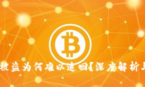 USDT钱包被盗为何难以追回？深度解析与预防措施