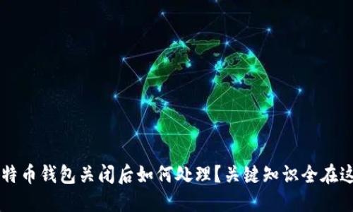 比特币钱包关闭后如何处理？关键知识全在这里