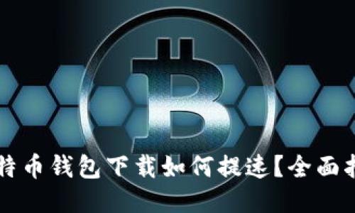 比特币钱包下载如何提速？全面指南