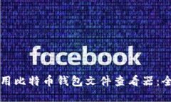 如何使用比特币钱包文件