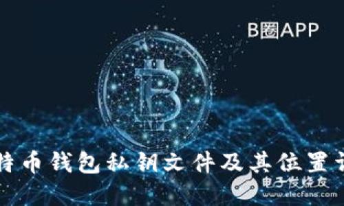 比特币钱包私钥文件及其位置详解