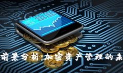 TP钱包前景分析：加密资产