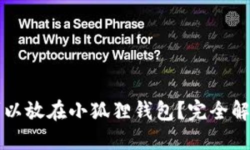 狗狗币是否可以放在小狐狸钱包？完全解答及使用指南