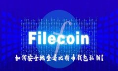 如何安全地查看比特币钱
