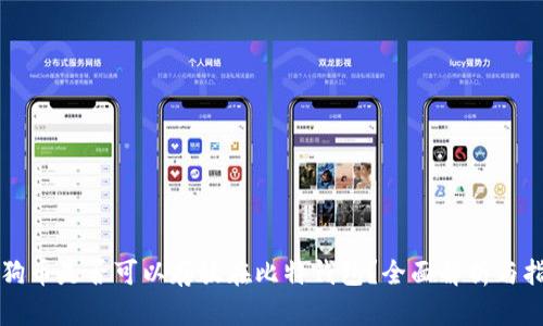 狗狗币是否可以存放在比特钱包？全面解析与指南