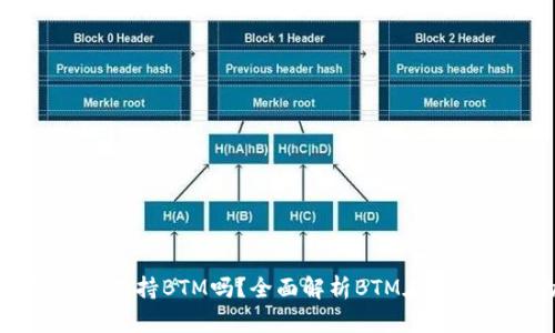 ### TP钱包支持BTM吗？全面解析BTM在TP钱包中的使用