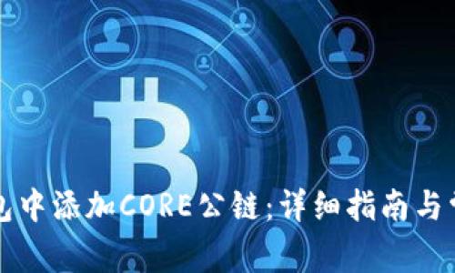 如何在TP钱包中添加CORE公链：详细指南与常见问题解答