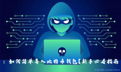 : 如何简单导入比特币钱包？新手必看指南