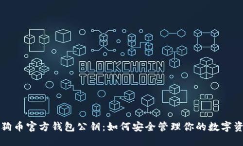 狗狗币官方钱包公钥：如何安全管理你的数字资产