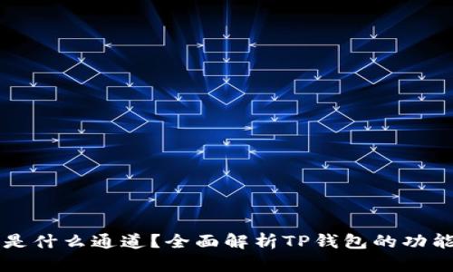 TP钱包是什么通道？全面解析TP钱包的功能与应用