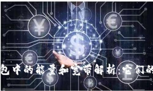 ### TP钱包中的能量和宽带解析：它们的作用与价值