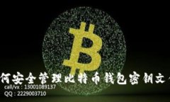 如何安全管理比特币钱包