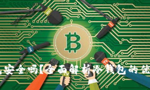 USDT冷钱包安全吗？全面解析冷钱包的优缺点及风险