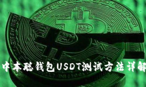 中本聪钱包USDT测试方法详解