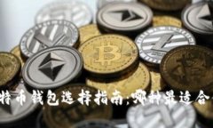 比特币钱包选择指南：哪