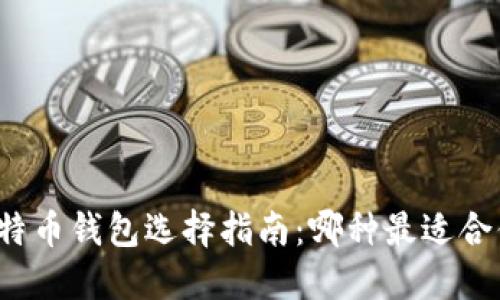 比特币钱包选择指南：哪种最适合你？