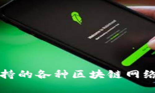 TP钱包支持的各种区块链网络全面解析
