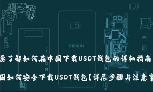 想要了解如何在中国下载USDT钱包的详细指南

中国如何安全下载USDT钱包？详尽步骤与注意事项