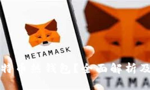 什么是比特币热钱包？全面解析及其优缺点