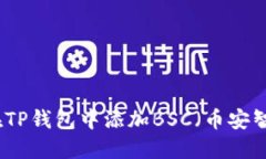 如何在TP钱包中添加BSC（币