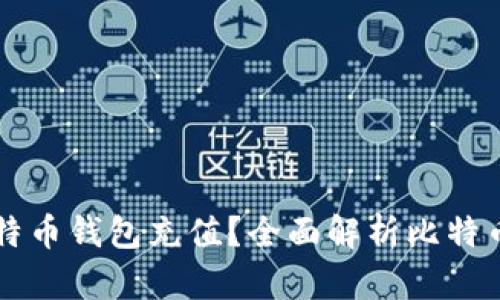 WMZ能否给比特币钱包充值？全面解析比特币及WMZ的关系