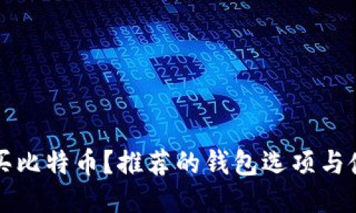 如何购买比特币？推荐的钱包选项与使用指南