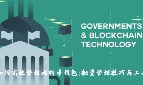 如何高效管理比特币钱包：批量管理技巧与工具