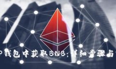 如何在TP钱包中获取BNB：详