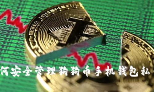 如何安全管理狗狗币手机钱包私钥？