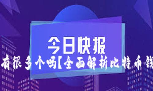 比特币钱包地址有很多个吗？全面解析比特币钱包地址的多样性
