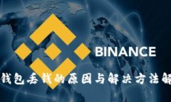 TP钱包丢钱的原因与解决方