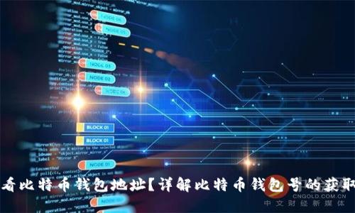 如何查看比特币钱包地址？详解比特币钱包号的获取和使用