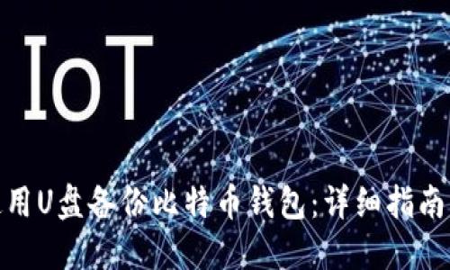 如何使用U盘备份比特币钱包：详细指南与步骤