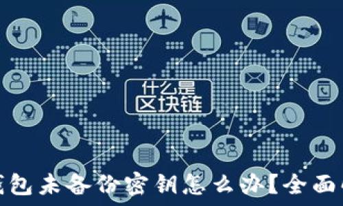   
以太坊钱包未备份密钥怎么办？全面解决方案