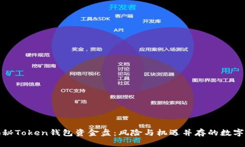 : 揭秘Token钱包资金盘：风险与机遇并存的数字资产