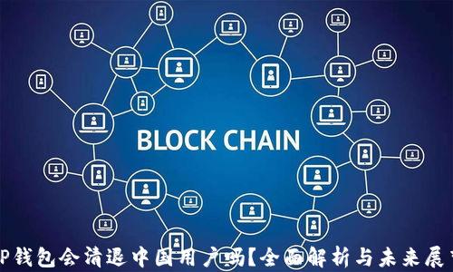 
TP钱包会清退中国用户吗？全面解析与未来展望