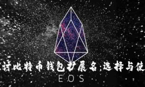 深入探讨比特币钱包扩展名：选择与使用指南