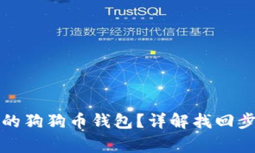 如何找回丢失的狗狗币钱包？详解找回步骤与注意事项