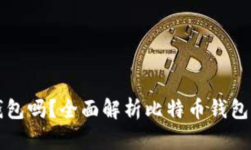 玩比特币必须要有钱包吗？全面解析比特币钱包的重要性与选购指南